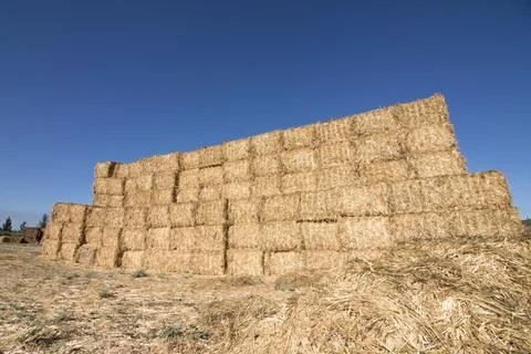 Hay Stack Stock Photos