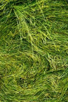 Hay stack texture Stock Photos
