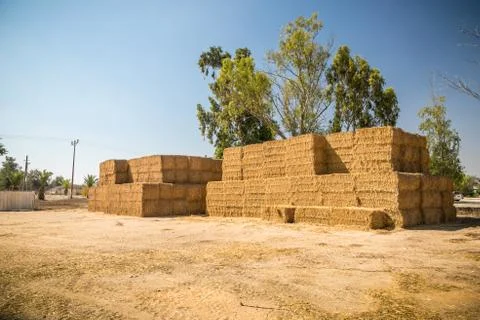 Hay Stack Wall. Straw bales. Stock Photos