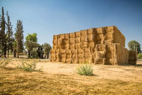 Hay Stack Wall. Straw bales. Stock Photos