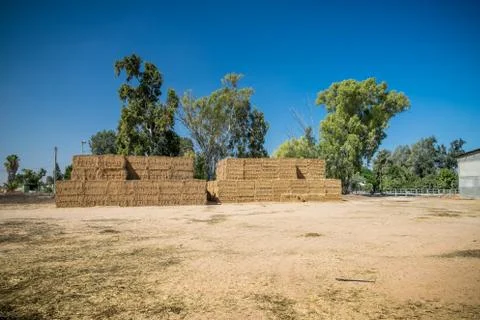 Hay Stack Wall. Straw bales. Stock Photos