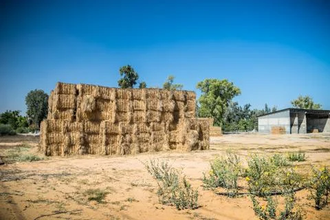 Hay Stack Wall. Straw bales. Stock Photos