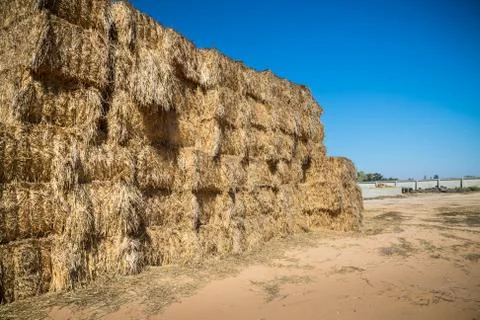 Hay Stack Wall. Straw bales. Stock Photos