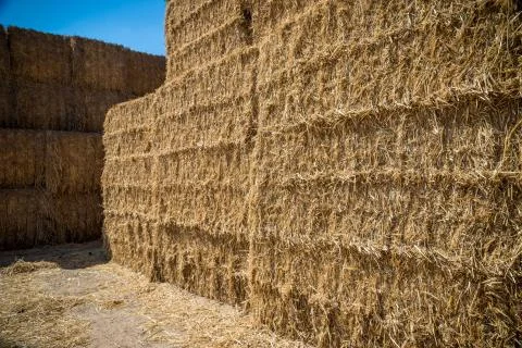 Hay Stack Wall. Straw bales. Stock Photos