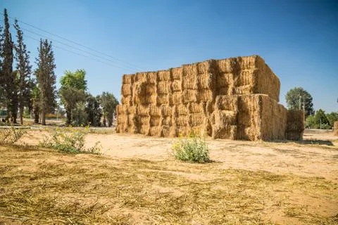 Hay Stack Wall. Straw bales. Stock Photos