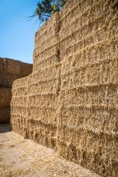 Hay Stack Wall. Straw bales. Stock Photos