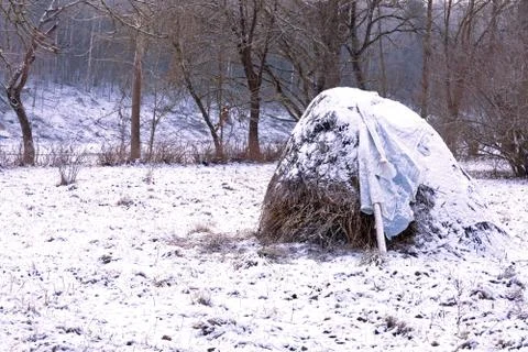 Hay stack winter forest Stock Photos