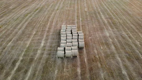 Hay stacks on the field Stock Footage 163483971