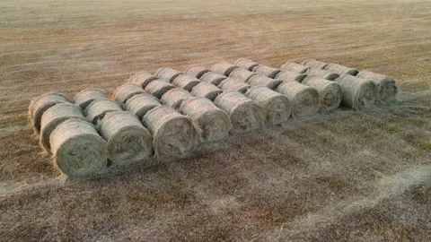 Hay stacks on the field Stock Footage 163485532