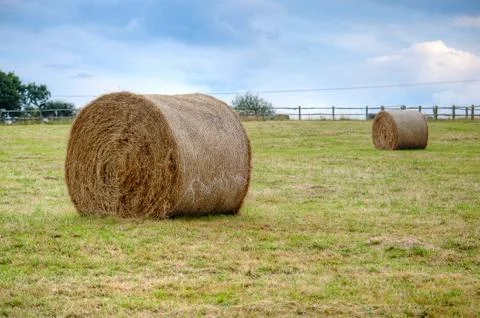 Hay stacks on a field Stock Photos