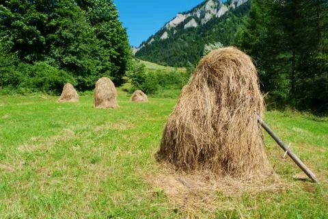 Hay stacks Stock Photos