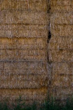 Hay stacks Stock Photos