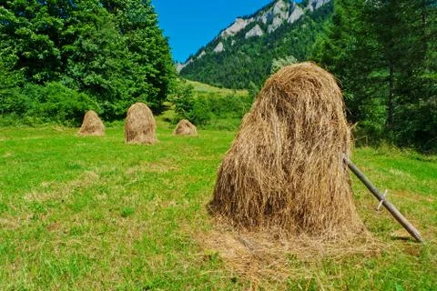 Hay stacks Stock Photos