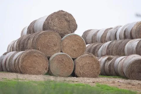 Hay stacks Stock Photos