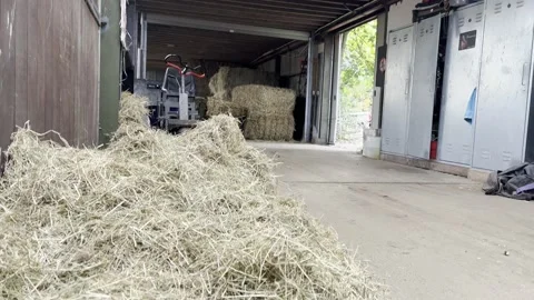 Hay Storage At Stable/ Barn/ Farm Stock Footage 219674585