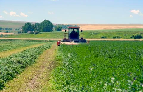 Hay swather Foto stock