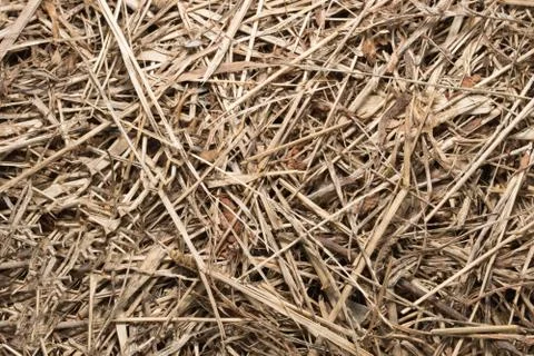 Hay textrue Stock Photos