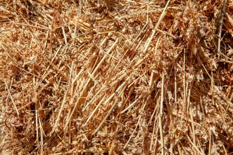 Hay texture background Stock Photos