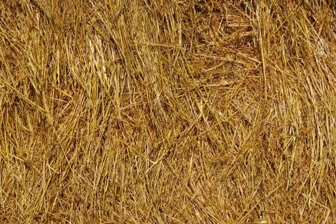 Hay texture Stock Photos
