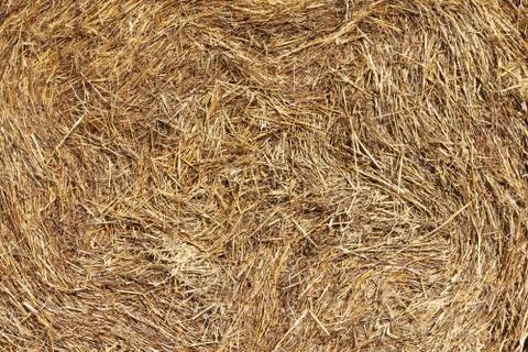 Hay texture Stock-Fotos