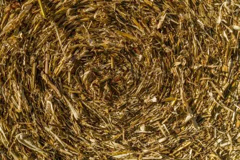 Hay texture Stock Photos