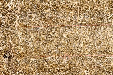 Hay texture Stock-Fotos