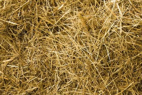 Hay texture Stock Photos