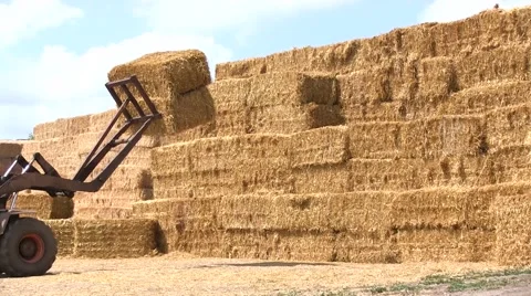 Hay Tractor Stacking Hay Bales Stock Footage 65868396