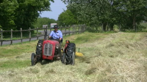 Hay-turning machine or hay tedder turning hay do dry Видео 533616