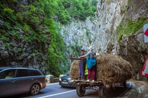 Hay wagon going through Bicaz Canyon in Romania. Stock Photos