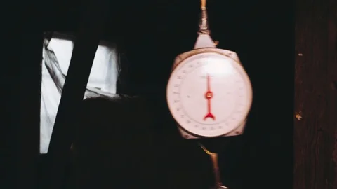 Hay Weight at the Stable Vídeo Stock 89201835