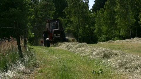 Hay windrows,tractor  Stock Footage 575858