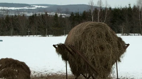 Hay in winter Stock Footage 70700044