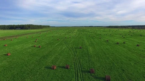 Hay wrapped in a haystack of lies all over the field. Aerial View Of Farmland Stock Footage 80232377