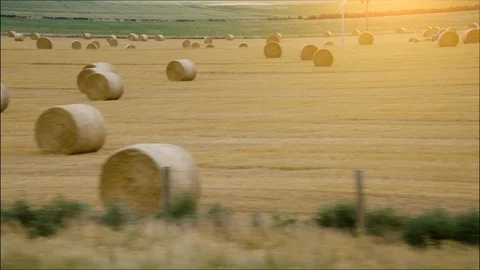 HaybailsInUtah Stock Footage 95574551