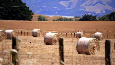 Haybales in Outback Field Stock Footage 130586279