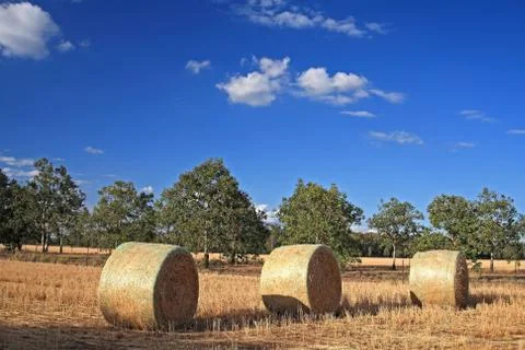 Haybales Stock Photos