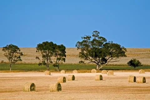 Haybales Stock Photos