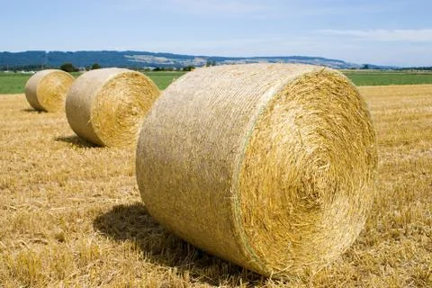 Hayballs Stock Photos