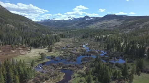 Hayden Fork Alpine Stream Valley in Uinta Mountains Utah Forward Push Stock Footage 335601185