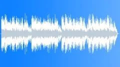 Haydn 5 Variations in D (variation 2) Stock Music