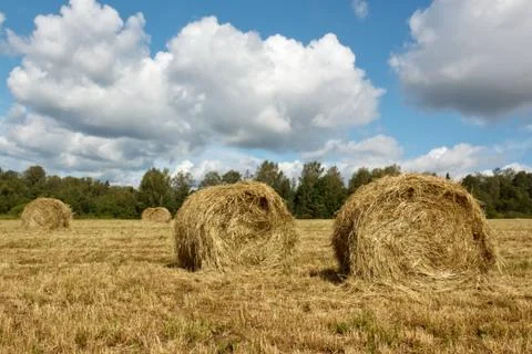 Hayfield and haystack Stock Photos
