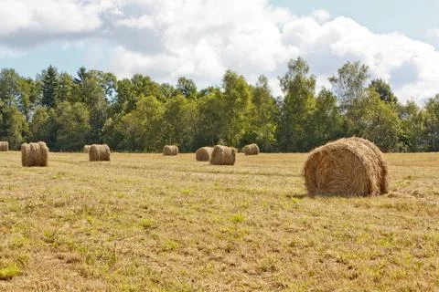 Hayfield and haystack Stock Photos