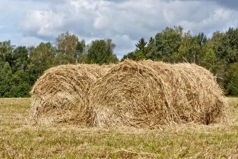 Hayfield and haystack 写真素材