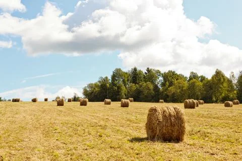 Hayfield and haystack Stock Photos