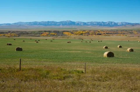Hayfield and rocky mountains Stock Photos