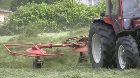 Haying in the Alps Video stock 10884579