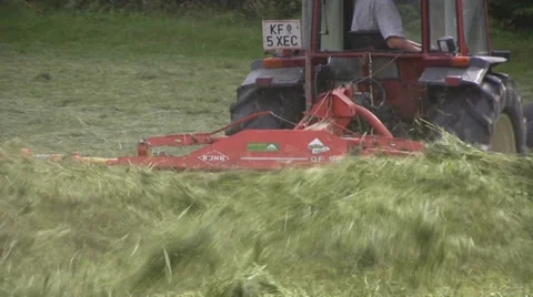 Haying in the Alps Stock Footage 28000182