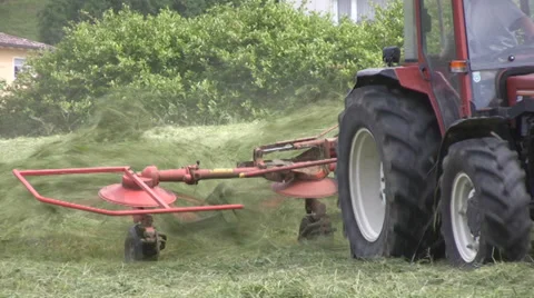 Haying in the Alps Stock Footage 28005240