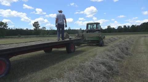Haying square bales with a tractor and trailer. Stock Footage 61399064